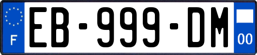 EB-999-DM