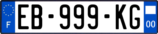 EB-999-KG