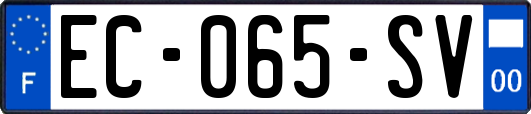 EC-065-SV