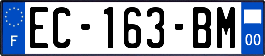 EC-163-BM