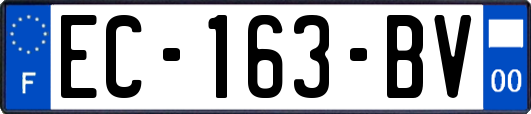 EC-163-BV