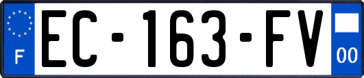 EC-163-FV