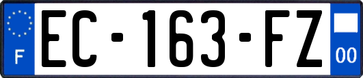 EC-163-FZ