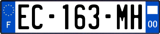 EC-163-MH