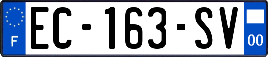 EC-163-SV