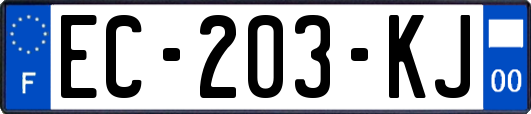 EC-203-KJ
