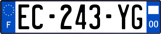 EC-243-YG