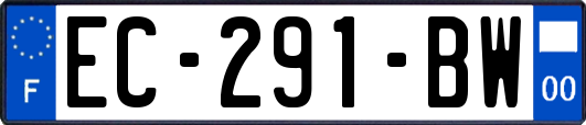 EC-291-BW