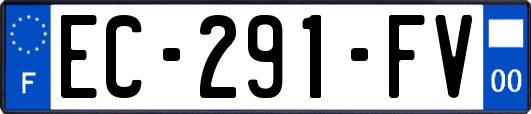 EC-291-FV