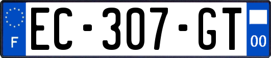 EC-307-GT