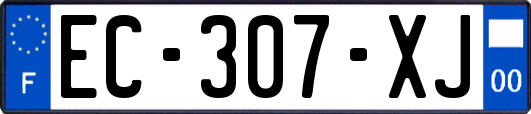 EC-307-XJ