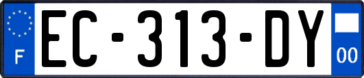 EC-313-DY