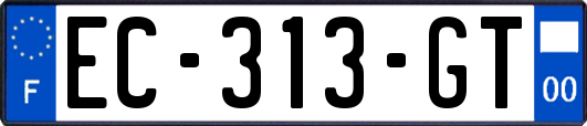 EC-313-GT