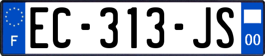 EC-313-JS
