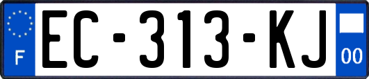 EC-313-KJ