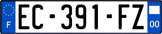 EC-391-FZ