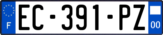 EC-391-PZ