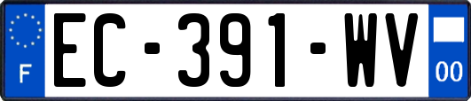 EC-391-WV