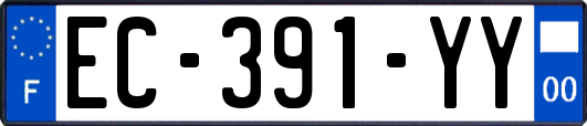 EC-391-YY