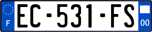 EC-531-FS