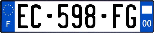 EC-598-FG