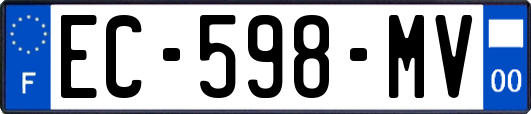EC-598-MV