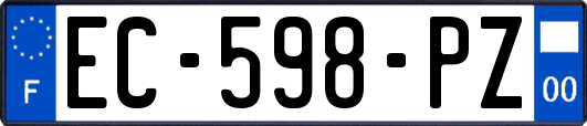 EC-598-PZ