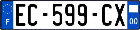 EC-599-CX