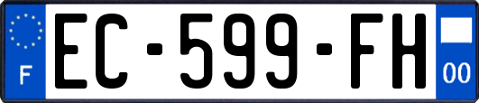 EC-599-FH