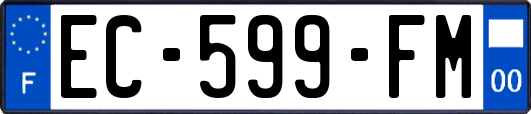 EC-599-FM