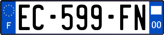 EC-599-FN