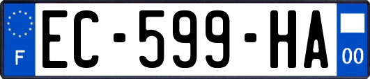 EC-599-HA