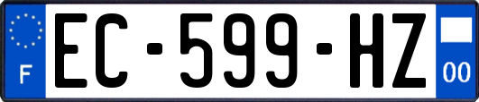 EC-599-HZ