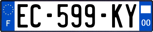 EC-599-KY