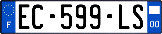 EC-599-LS