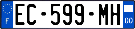 EC-599-MH