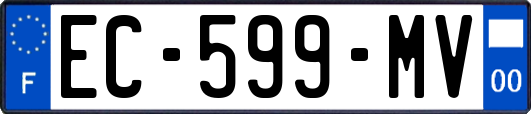 EC-599-MV