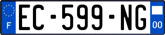 EC-599-NG