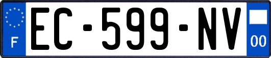 EC-599-NV