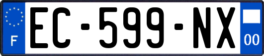 EC-599-NX