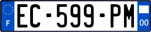 EC-599-PM