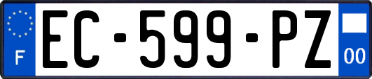 EC-599-PZ