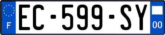 EC-599-SY