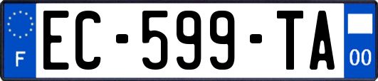 EC-599-TA
