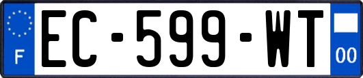 EC-599-WT