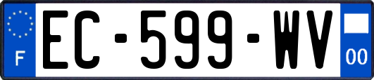 EC-599-WV