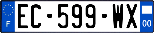 EC-599-WX