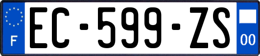 EC-599-ZS