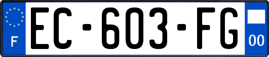 EC-603-FG