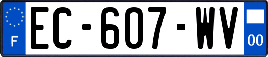 EC-607-WV
